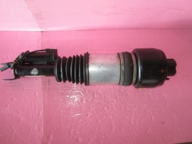 Mercedes Benz - Strut - Shock - C086107